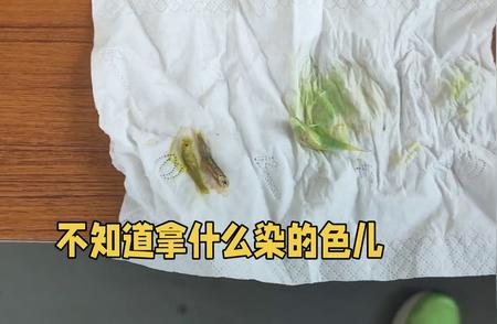 蝶翼斑马鱼：新手养鱼的理想选择