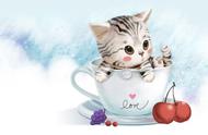 茶杯猫：除了可爱，还有这些你不知道的事！