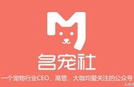 中国知名宠物互联网公司榜单：引领行业创新