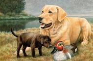 探索凯文·丹尼尔的绘画世界：可爱的狗狗艺术欣赏