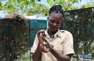 乌干达青年：守护自然，倡导人类与野生动物和谐共生