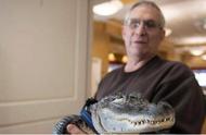 探索新宠：65岁男子与5尺鳄鱼的非凡故事
