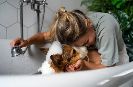 宠物洗澡：人的沐浴露是否适用？