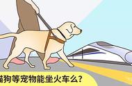 火车上宠物携带全攻略：安检要点一网打尽！