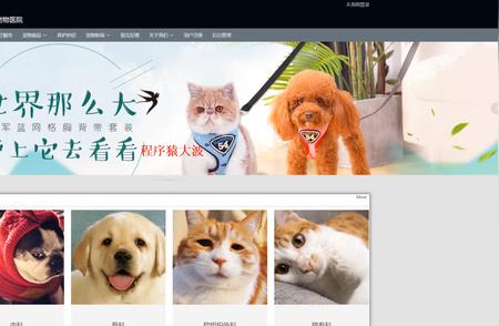 探索基于JAVA和Vue的宠物医院管理系统源码