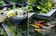 创新庭院设计：打造独特的鱼池景观