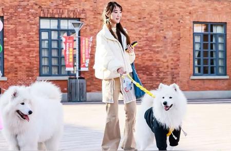 上海宠物时装周：时尚与萌宠的完美结合