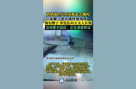 恶犬拖倒撕咬奶奶，警方介入调查