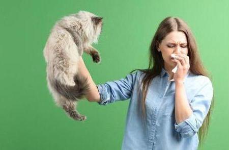 哮喘患者能否安全养宠物？专业解答来了