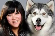 中国知名犬舍：探索阿拉斯加雪橇犬的家园