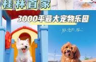 探索桂林3000平最大宠物乐园，享受宠物度假新体验
