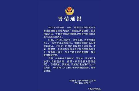 震惊！三名男子遛狗致流浪猫惨死，社会舆论哗然