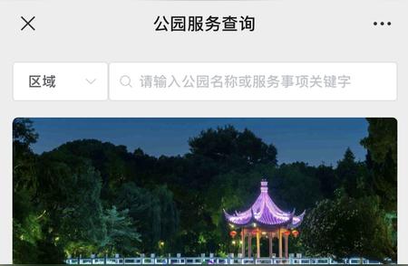 探索上海：哪些公园允许宠物与帐篷的陪伴？