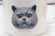 茶杯猫头像背后的魔力：无论你怎样看，它都看着你