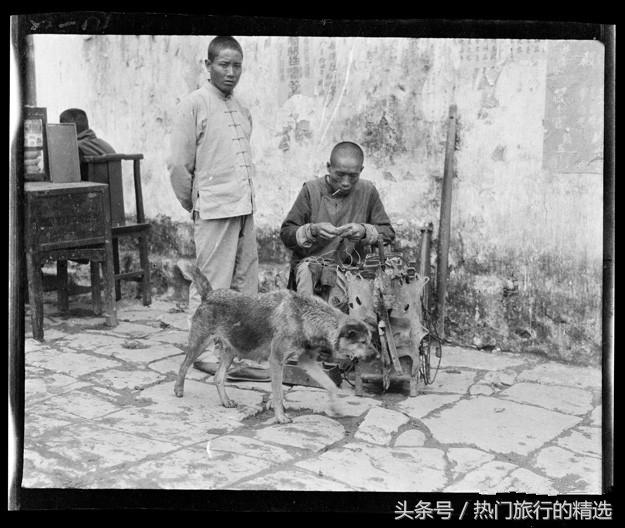 正宗的中华田园犬欣赏，历史老照片