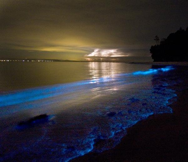 日本海岸上的奇怪一幕：海面泛出蓝光，还会不断移动