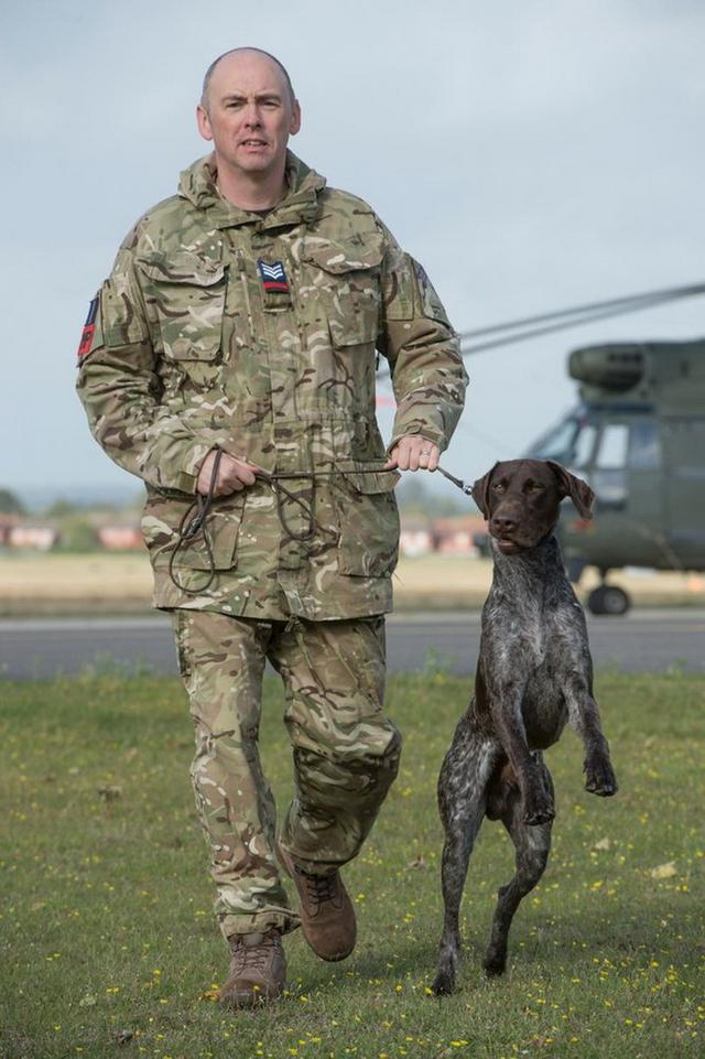 赫兹是一条德国短毛犬，它现在英国皇家空军宪兵队服役