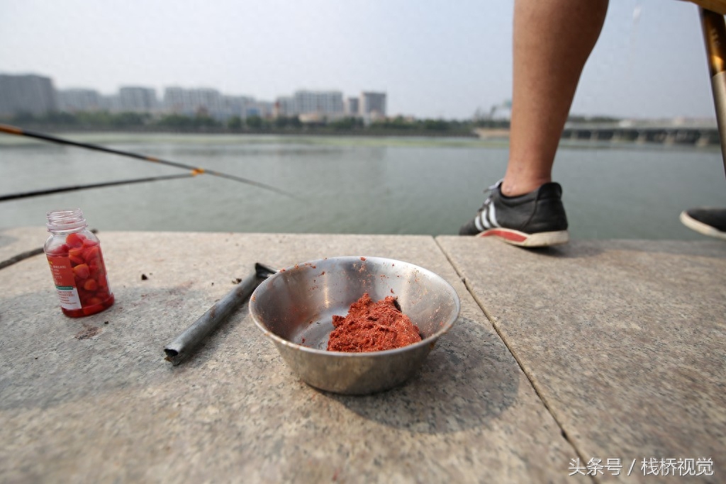 喜欢钓鱼的看过来！青岛白沙河畔钓鲫鱼，河边一溜人冒着高温打着遮阳伞享受快乐垂钓人生！